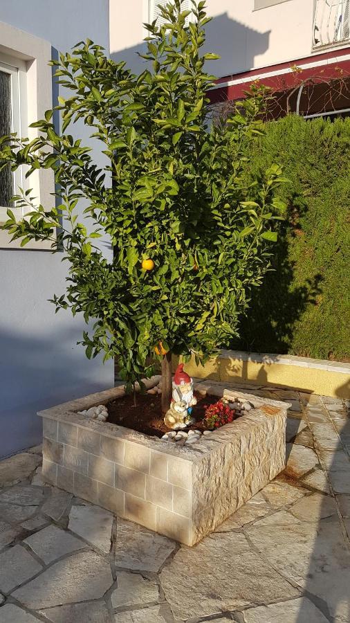 Cosy Villa Near The Beach Zadar Extérieur photo